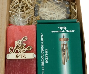 Sada znamení zverokruhu - Škorpión